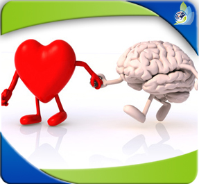 Cursos de inteligencia emocional en el aula de aprendizaje