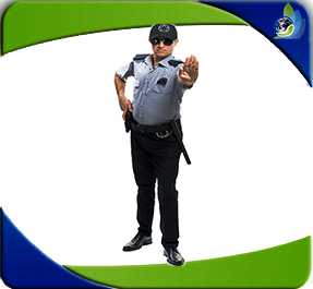 Técnicas de Seguridad privada y operativa